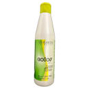 Emulsión reveladora suave de color Salerm - 200 ml