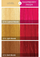 KISS COLORS Tintation Semi-Permanent Hair Color-T450 - Raspberry Prism 5oz (S7)