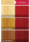 Tinte semipermanente para el cabello KISS COLORS Tintation - T553 - Carmesí 5 oz (S7)