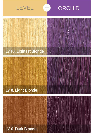 KISS COLORS Tintation Semi-Permanent Hair Color-T331 - Orchid 5oz (S7)