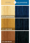 KISS COLORS Tintation Semi-Permanent Hair Color-T224 - Aquamarine (S7)