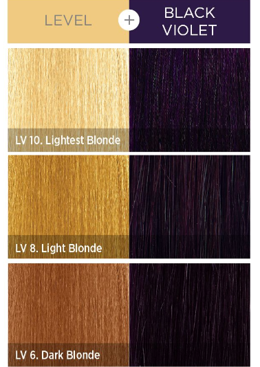 KISS COLORS Tintation Semi-Permanent Hair Color-T930 - Black Violet 5oz (S6)