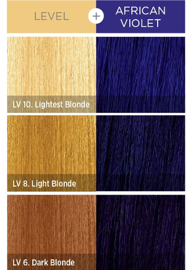 KISS COLORS Tintation Semi-Permanent Hair Color-T320 - African Violet 5oz  (S6)