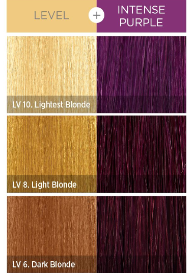 KISS COLORS Tintation Semi-Permanent Hair Color-T341 - Intense Purple 5oz (S6)