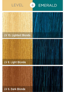 KISS COLORS Tintation Semi-Permanent Hair Color-T120 - Emerald 5oz (S6)