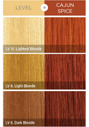 Tinte semipermanente para el cabello KISS COLORS Tintation-T860 - Especias Cajún 5oz (S5)