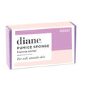 PAQUETE DE ESPONJA DE PÓMEZ -D5001 (21)