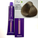 Crema colorante permanente Salerm Vision (65 g)