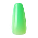 GF COLORES SÓLIDOS -HOLA GC29